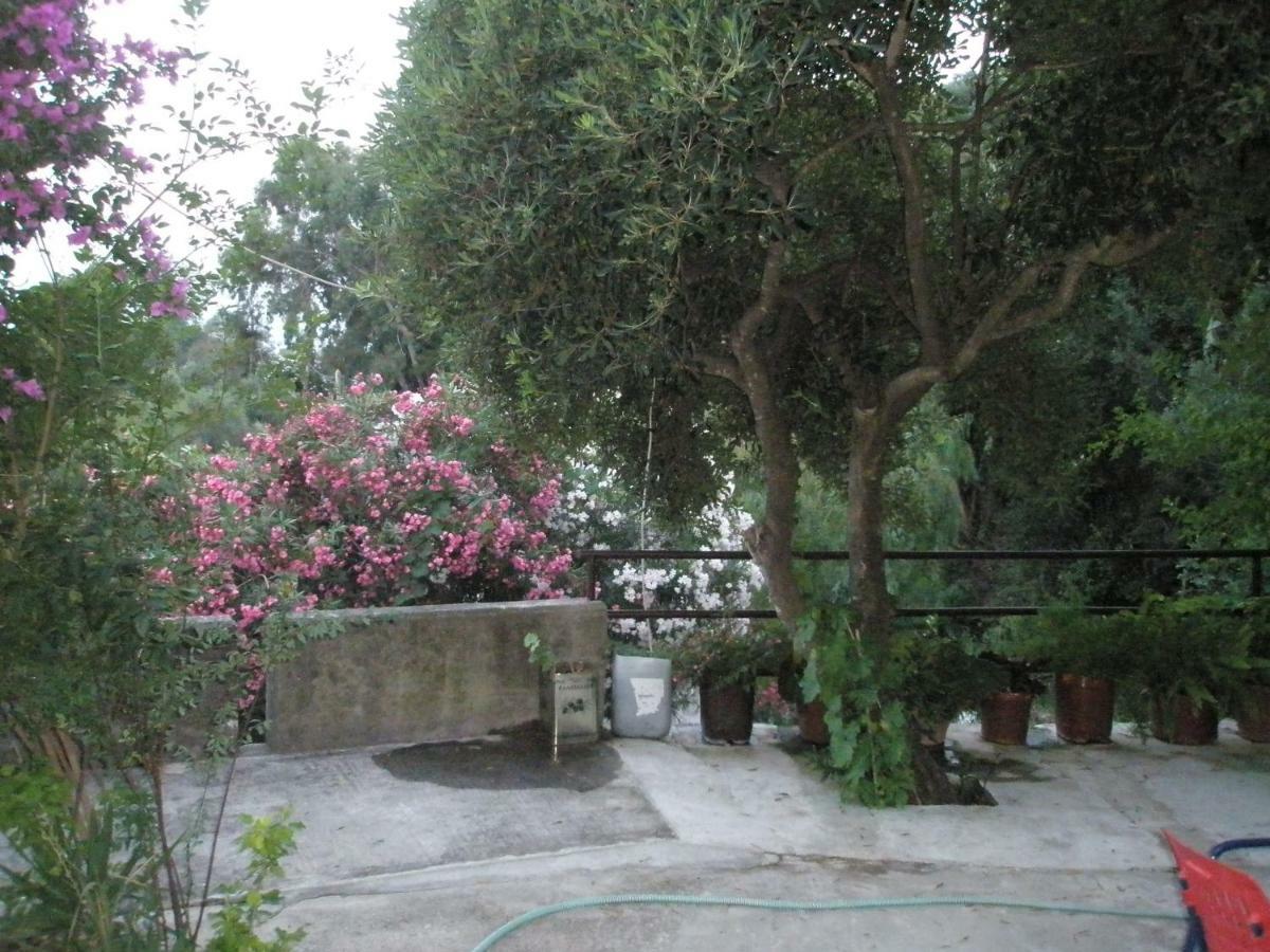 Faliraki Apartments Benitses  Luaran gambar