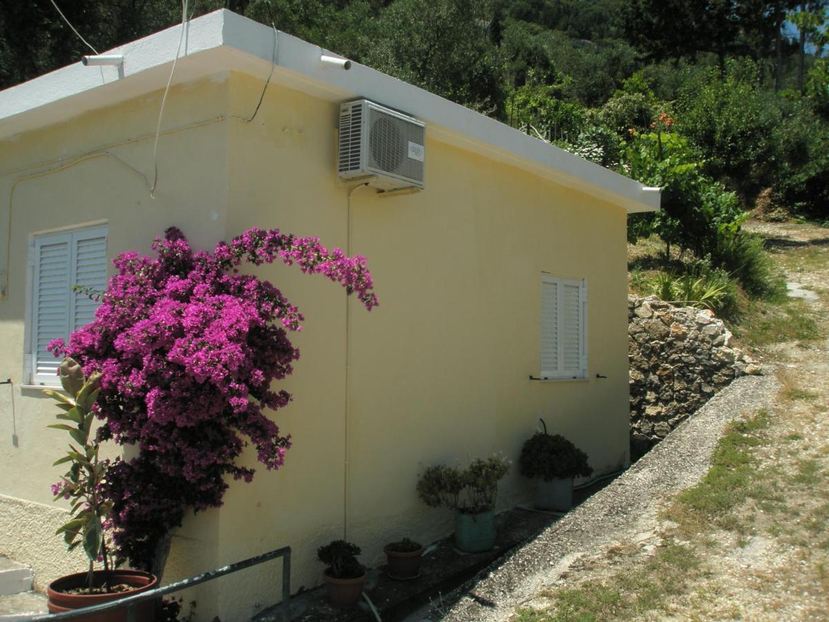 Faliraki Apartments Benitses  Luaran gambar