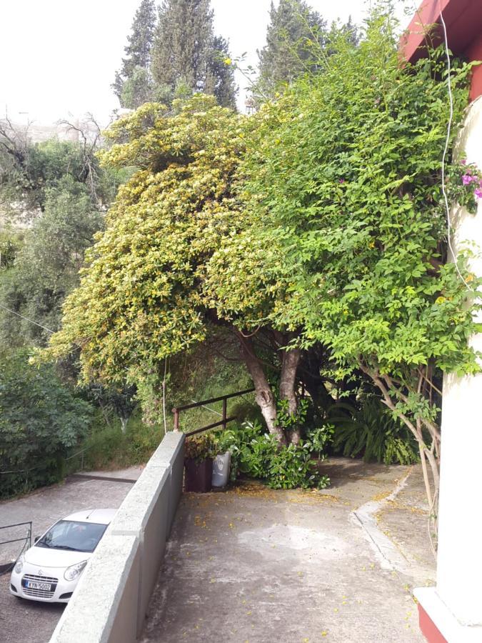 Faliraki Apartments Benitses  Luaran gambar