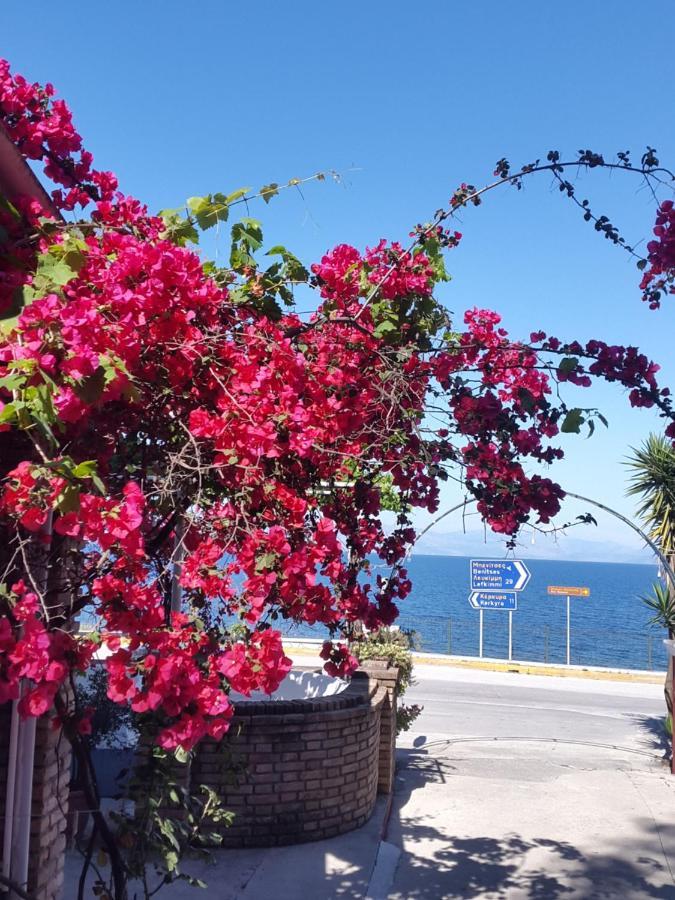 Faliraki Apartments Benitses  Luaran gambar