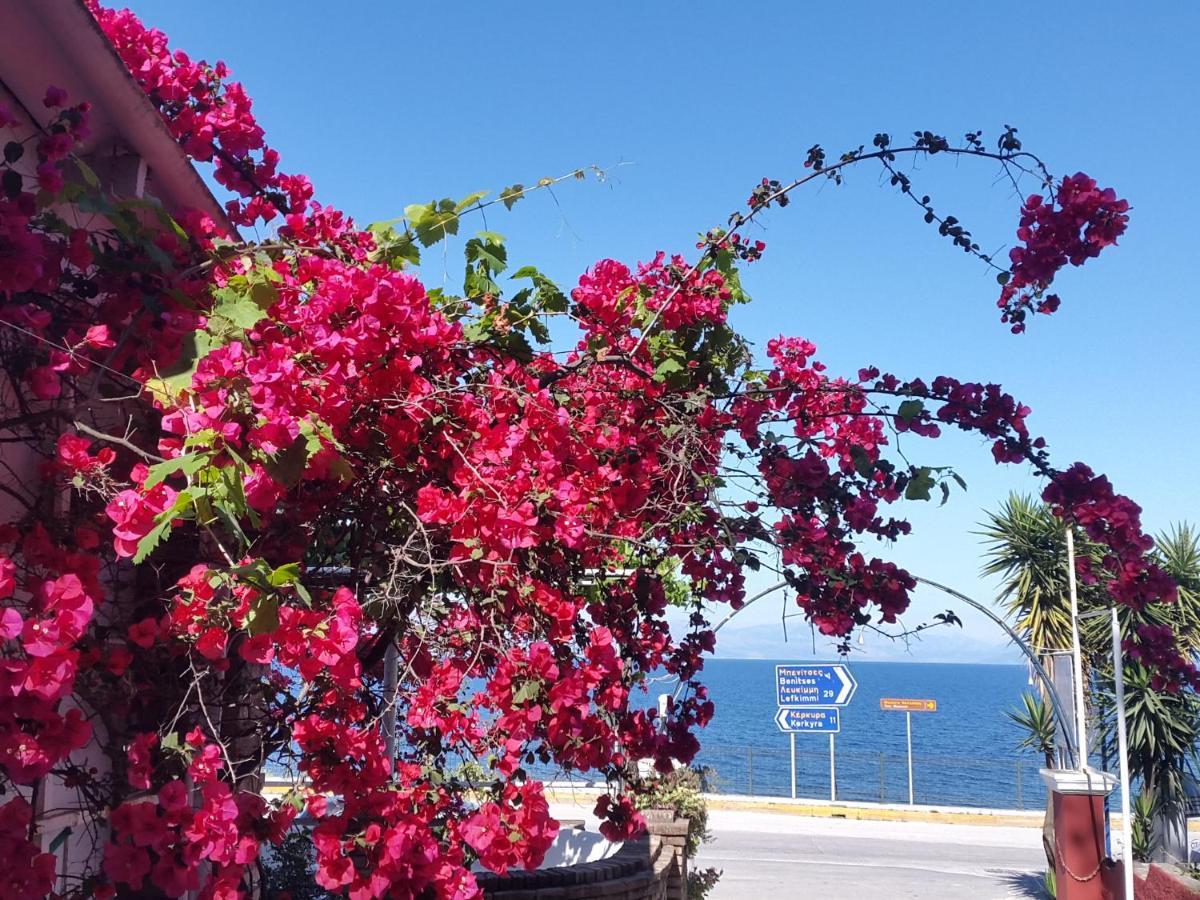 Faliraki Apartments Benitses  Luaran gambar